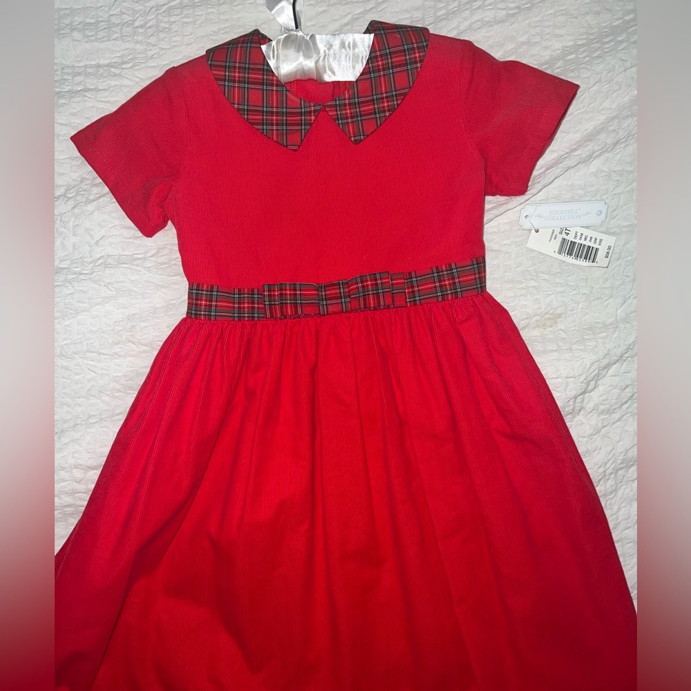 Brand new never worn. 4t dress